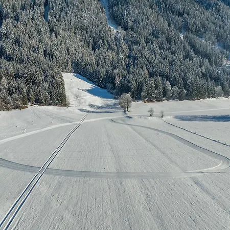 Apartment Penzinghof *